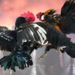 Outstanding Fighting Cocks of the Year